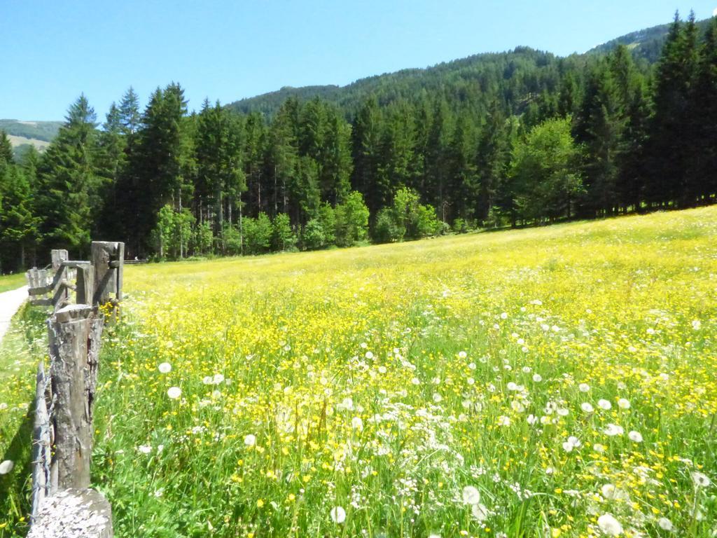Gasthof Dorfschenke Stall Εξωτερικό φωτογραφία